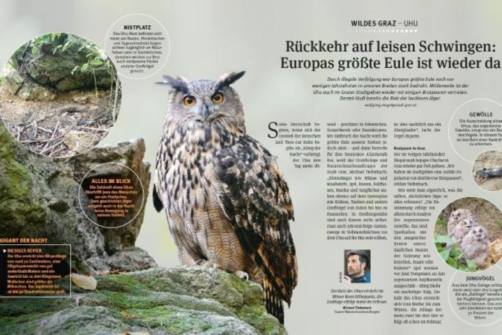 Artikel UHU