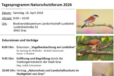 Tagesprogramm