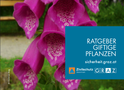 Ratgeber giftige Pflanzen