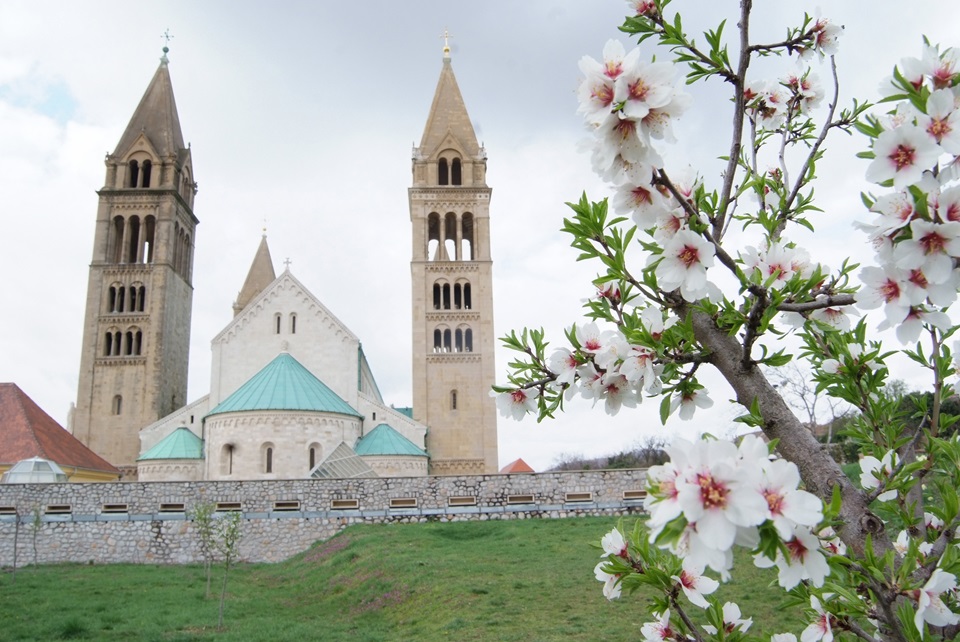 Kathedrale St. Peter und Paul