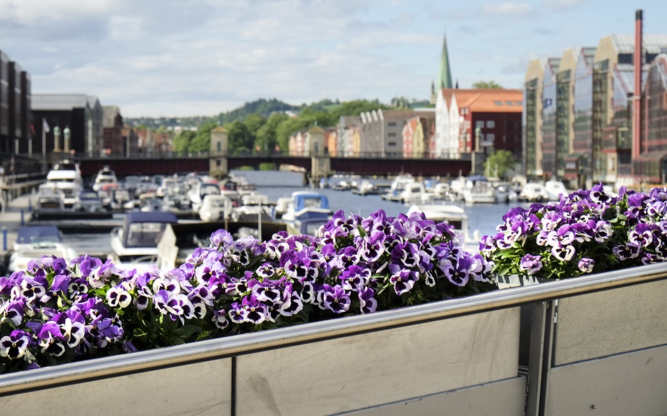 Das historische Stadtviertel Bakklandet