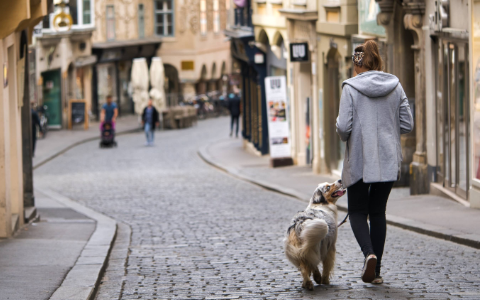 Tag des Zu-Fuß-Gehens
