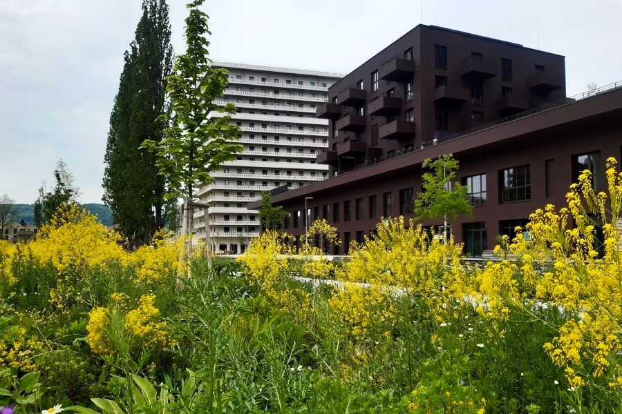 Reininghauspark