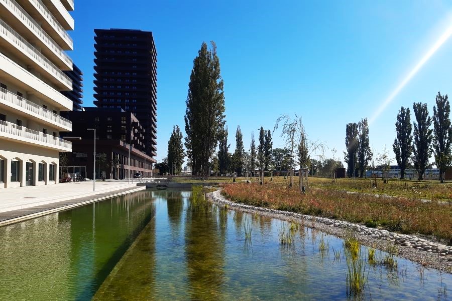Wasserzeile
