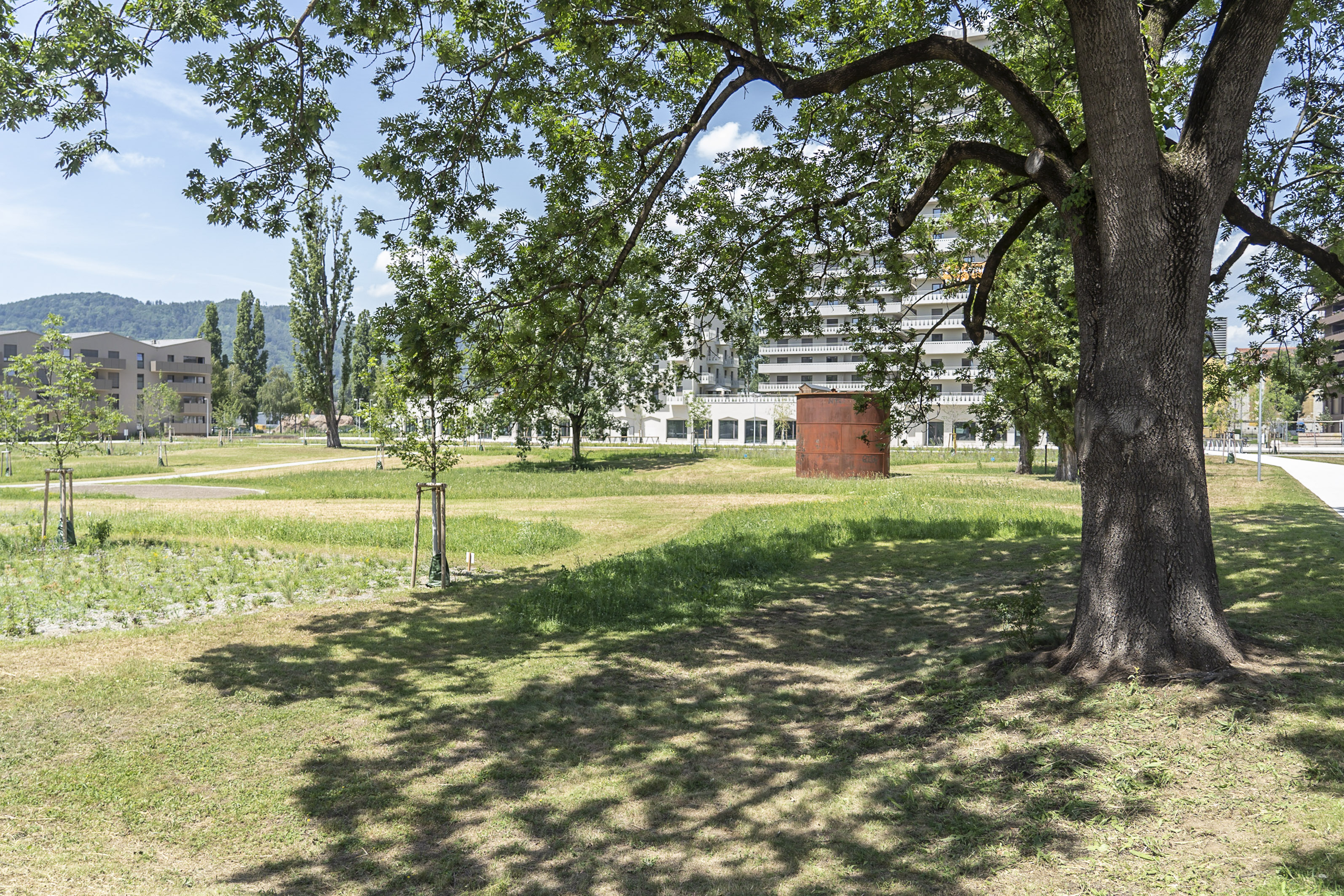 Reininghauspark