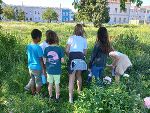 Wichtiges Anliegen: Die Blumen auf der Parkfläche müssen bleiben.