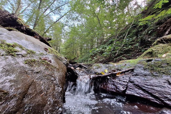 Rettenbachklamm