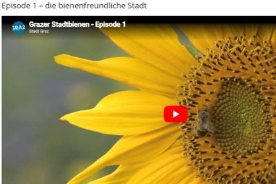 Episode 1 – die bienenfreundliche Stadt © youtube Episode 1 – die bienenfreundliche Stadt