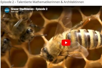 Episode 2 – Talentierte Mathematikerinnen & Architektinnen © youtube Episode 2 – Talentierte Mathematikerinnen & Architektinnen