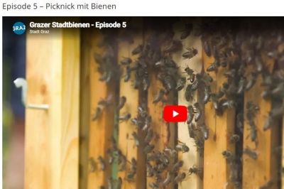 Episode 5 – Picknick mit Bienen © youtube Episode 5 – Picknick mit Bienen