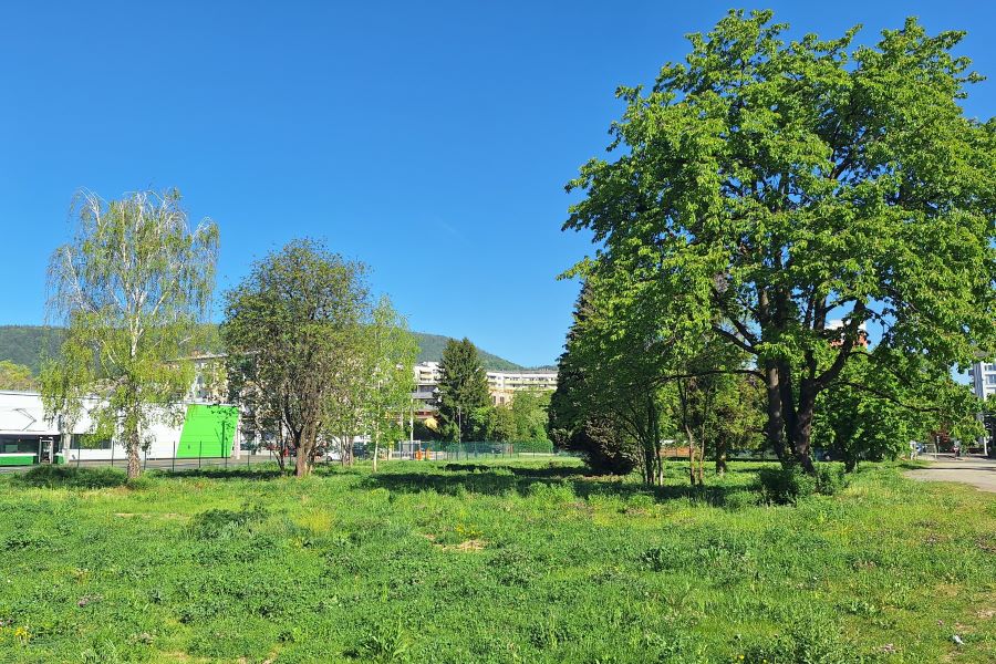 Park Daungasse © Stadt Graz/Grünraum&Gewässer Park Daungasse