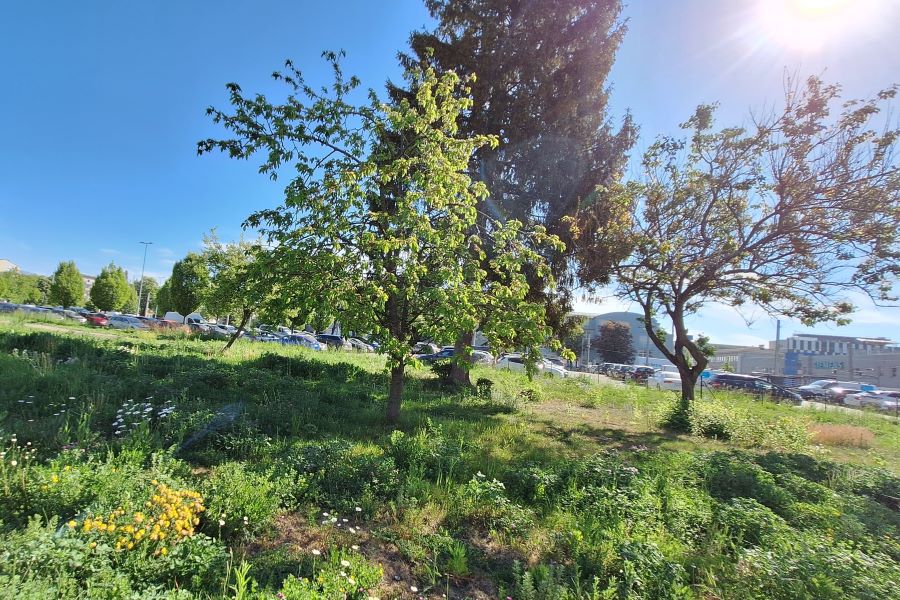Park Daungasse © Stadt Graz/Grünraum&Gewässer Park Daungasse