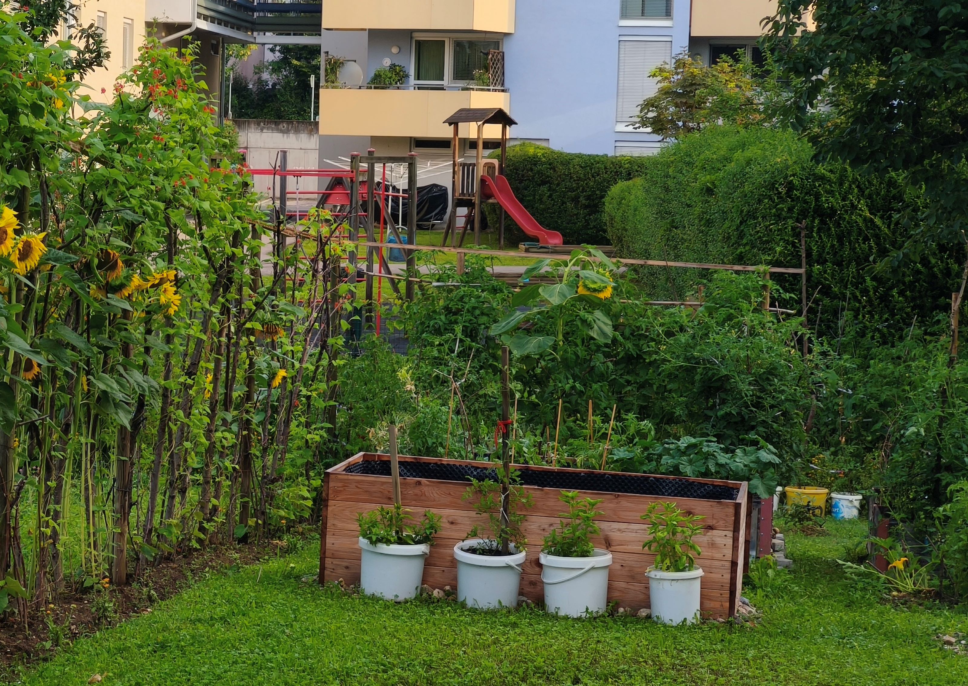 Gemeinschaftsgarten Vielfalter im Anna-Cadia-Park © Stadt Graz/Gradwohl Gemeinschaftsgarten Vielfalter im Anna-Cadia-Park