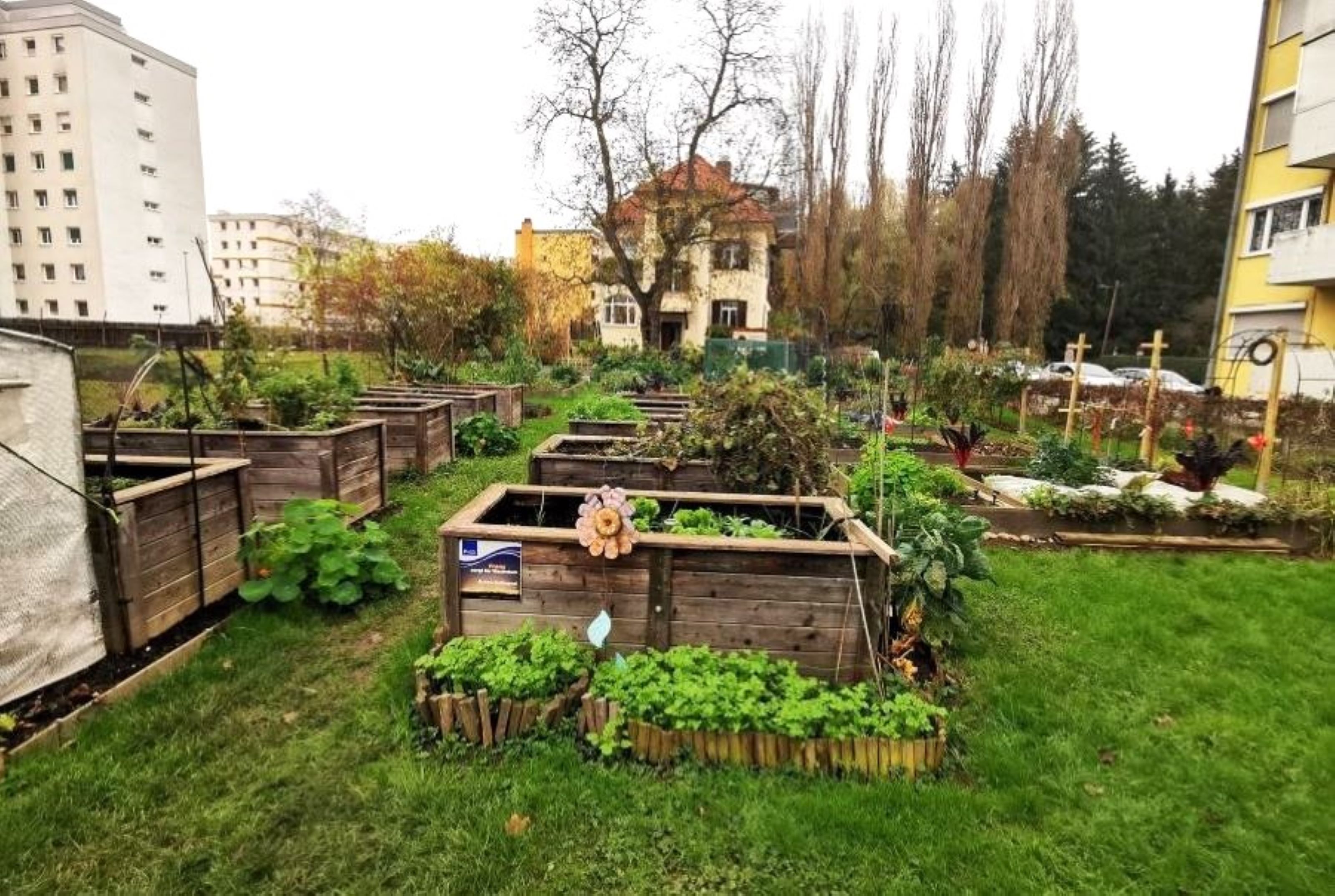 Gemeinschaftsgarten im Dagmar-Grage-Park © Stadt Graz/Preinknoll Gemeinschaftsgarten im Dagmar-Grage-Park