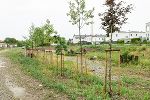 Hochwasserschutz Schöcklbach