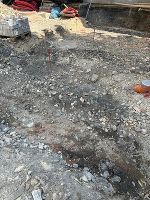 "Futter" für Bäume: Aktivkohle ist im Erdreich © Stadt Graz "Futter" für Bäume: Aktivkohle ist im Erdreich