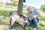 Der Lustbühel ist für Stadtrat Manfred Eber ein Sommer-Tipp.