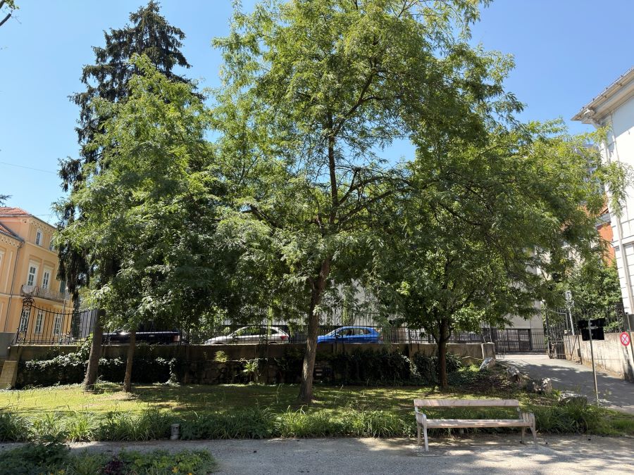 Barbara-Frischmuth-Park © Stadt Graz/Grünraum&Gewässer Barbara-Frischmuth-Park
