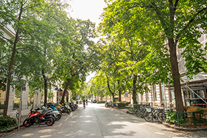 Allee mit Bäumen und geparkten Motorrädern und Fahrrädern in Wien