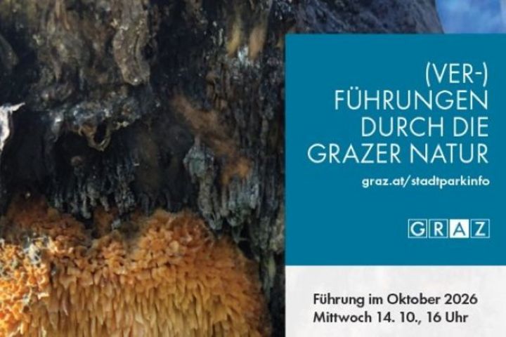Plakat (Ver-)Führung Baumpilze
