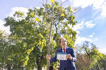 Freute sich über den zweiten Baum in Folge, der ihm gewidmet ist: Unternehmer Hans Roth. © Stadt Graz/Fischer Freute sich über den zweiten Baum in Folge, der ihm gewidmet ist: Unternehmer Hans Roth.