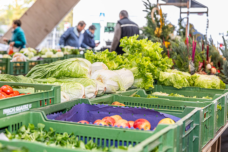 Reges Markttreiben. Der neue „alte“ Hofbauermarkt ist eröffnet © Stadt Graz/Fischer Reges Markttreiben. Der neue „alte“ Hofbauermarkt ist eröffnet