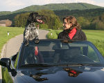 Beispielbild: Reise mit Hund © Dr. Klaus Hejny Beispielbild: Reise mit Hund