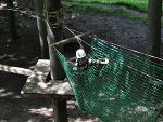 Kletterndes Kind in der Netzbrücke von Baum zu Baum © Foto: Wiki Adentue Park Kletterndes Kind in der Netzbrücke von Baum zu Baum © Foto: Wiki Adentue Park